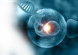 Preimplantation Genetic Testing (PGT)