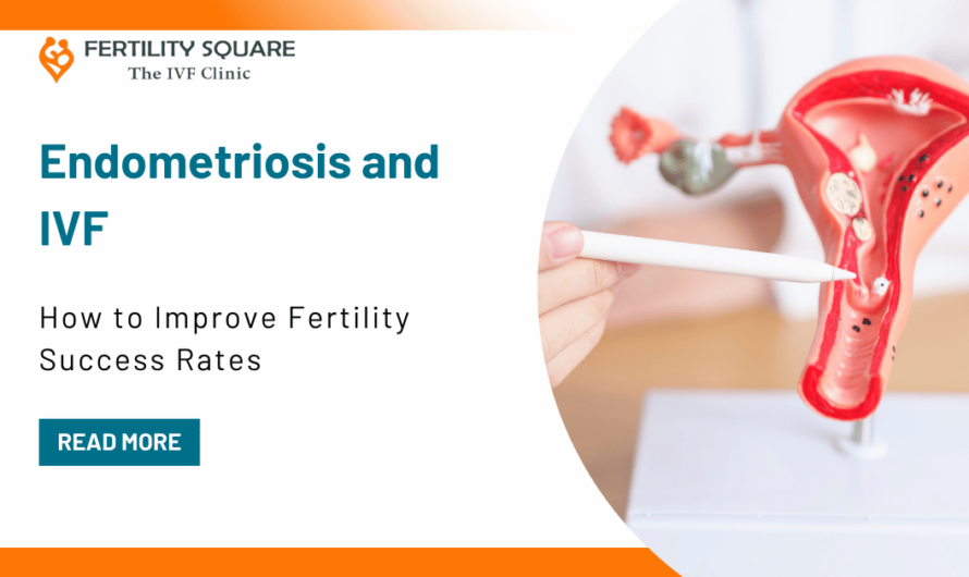 Endometriosis and IVF: How to Improve Fertility Success Rates